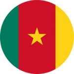 Грузоперевозки в Камерун