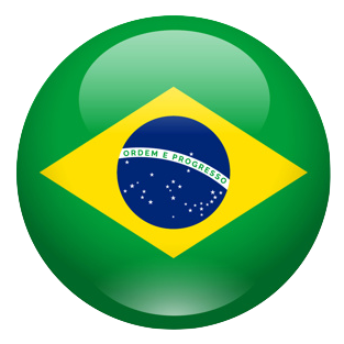 Грузоперевозки в Бразилию