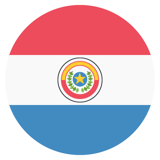 Грузоперевозки в Парагвай